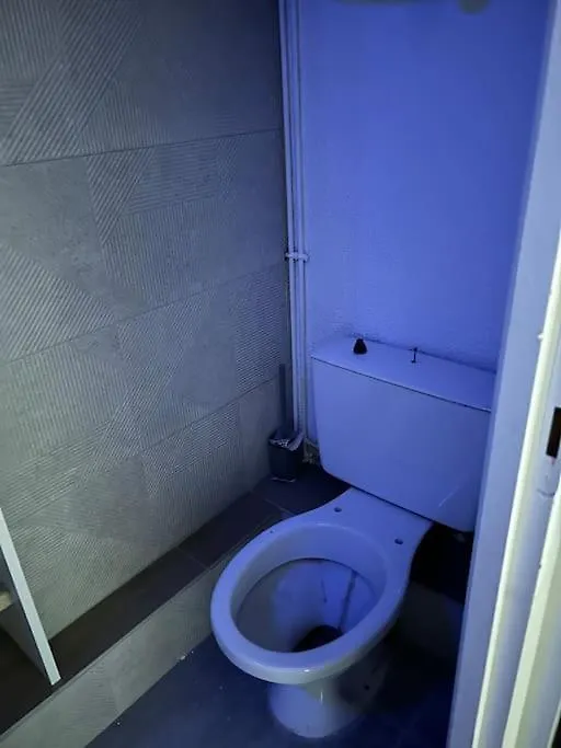 Apartment Appartement Sympa Parking Gratuit 50 M Vizille France