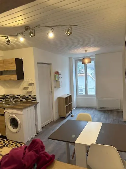Appartement Sympa Parking Gratuit 50 M Vizille